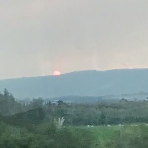 Meet your Posher, Sienna